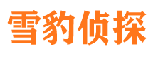 池州市场调查